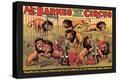 Stretched Canvas Print