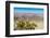 Al Hajar Mountains (Oman Mountains) close to Jebel Shams Canyon, Oman-Jan Miracky-Framed Photographic Print