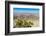 Al Hajar Mountains (Oman Mountains) close to Jebel Shams Canyon, Oman-Jan Miracky-Framed Photographic Print