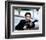 Al Pacino - Heat-null-Framed Photo