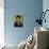 Al Pacino IV-David Studwell-Premium Giclee Print displayed on a wall