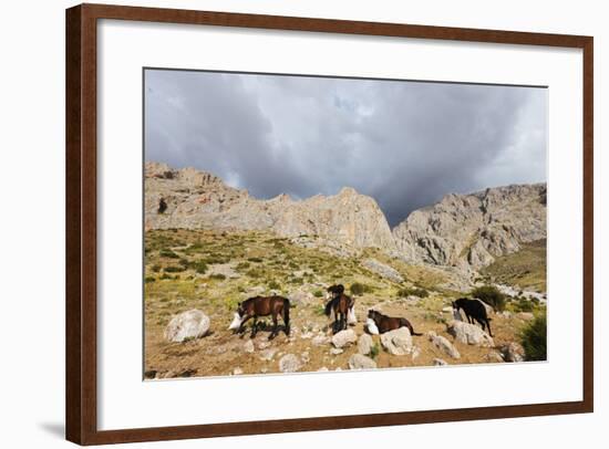 Ala Daglar National Park, Cappadocia, Anatolia, Turkey, Asia Minor, Eurasia-Christian Kober-Framed Photographic Print