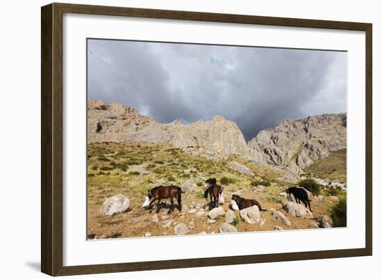 Ala Daglar National Park, Cappadocia, Anatolia, Turkey, Asia Minor, Eurasia-Christian Kober-Framed Photographic Print