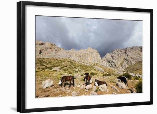 Ala Daglar National Park, Cappadocia, Anatolia, Turkey, Asia Minor, Eurasia-Christian Kober-Framed Photographic Print