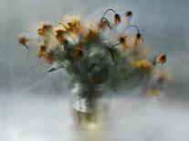 fading bouquet-Ala Pneuma-Framed Photographic Print