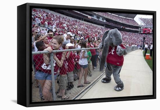 Alabama Football Scrimmage-Carol Highsmith-Framed Stretched Canvas