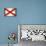 Alabama Grunge Flag-TINTIN75-Art Print displayed on a wall