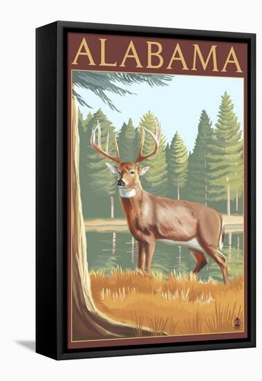 Alabama White Tailed Deer-Lantern Press-Framed Stretched Canvas