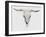 Alabaster Cow Skull-Sarah Butcher-Framed Art Print