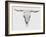 Alabaster Cow Skull-Sarah Butcher-Framed Art Print