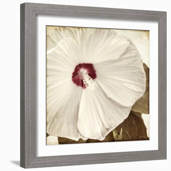 Alabaster Hibiscus-Mindy Sommers-Framed Giclee Print