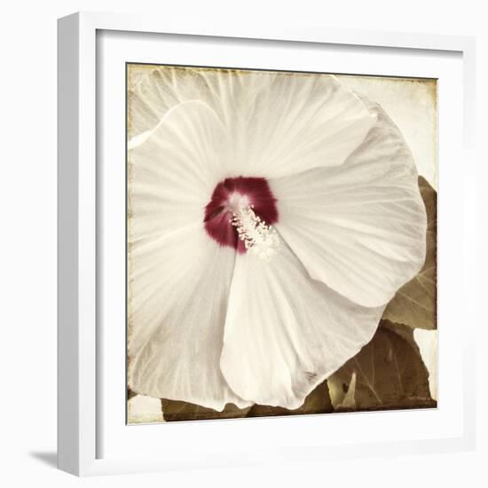 Alabaster Hibiscus-Mindy Sommers-Framed Giclee Print