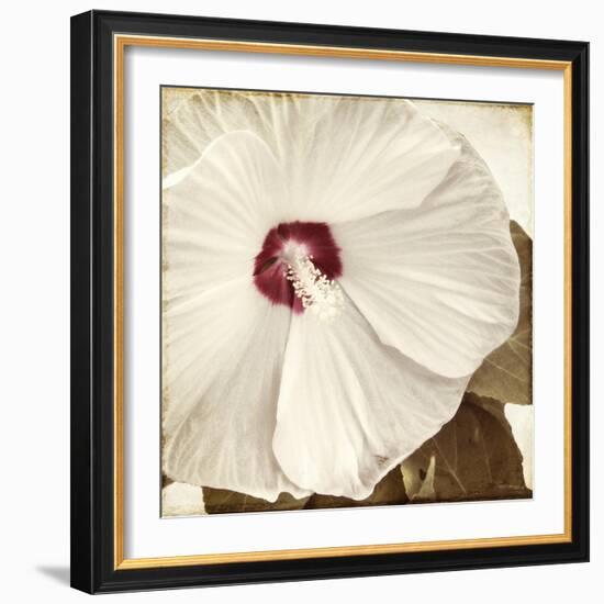 Alabaster Hibiscus-Mindy Sommers-Framed Giclee Print