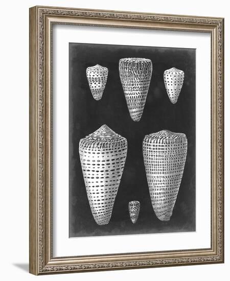 Alabaster Shells I-Vision Studio-Framed Art Print