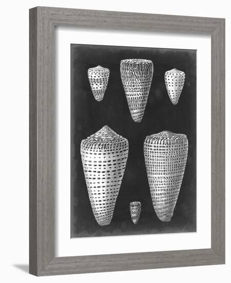 Alabaster Shells I-Vision Studio-Framed Art Print