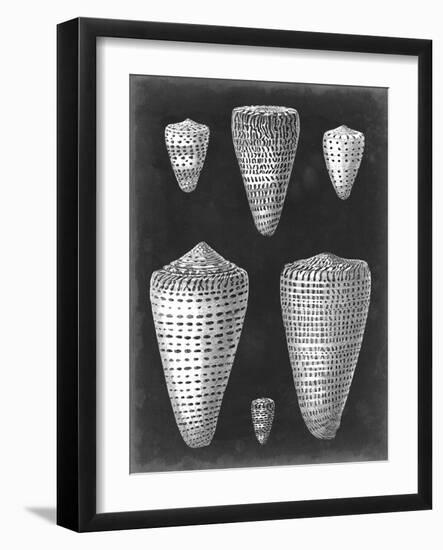 Alabaster Shells I-Vision Studio-Framed Art Print