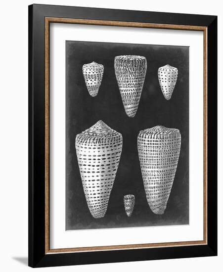 Alabaster Shells I-Vision Studio-Framed Art Print