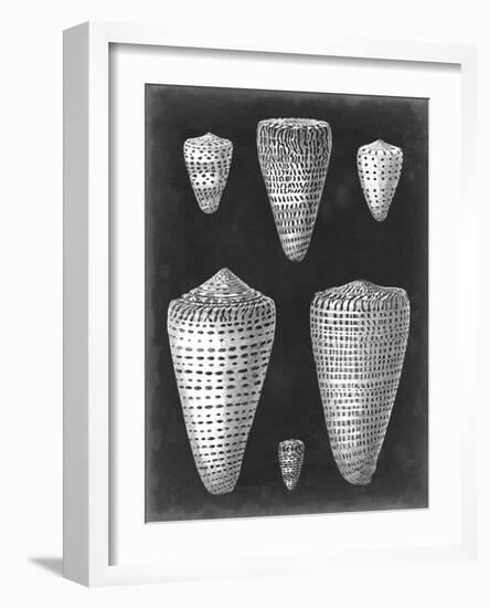 Alabaster Shells I-Vision Studio-Framed Art Print