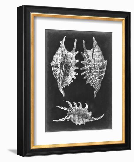 Alabaster Shells V-Vision Studio-Framed Art Print