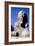 Alabaster Sphinx (Seen from Front), Memphis, Egypt, 18th or 19th Dynasty, C14th-13th Century Bc-CM Dixon-Framed Photographic Print