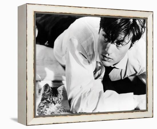 Alain Delon-null-Framed Stretched Canvas