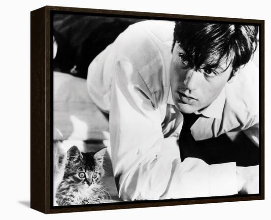 Alain Delon-null-Framed Stretched Canvas