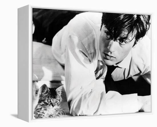 Alain Delon-null-Framed Stretched Canvas