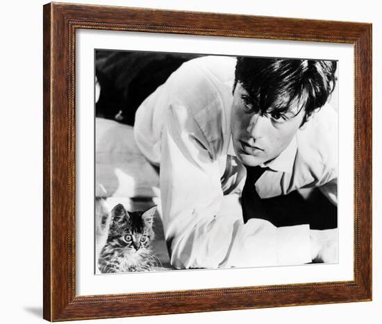 Alain Delon-null-Framed Photo