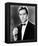 Alain Delon-null-Framed Stretched Canvas