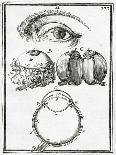 Hanging Gardens of Semiramis, 1683-Alain Manesson Mallet-Giclee Print