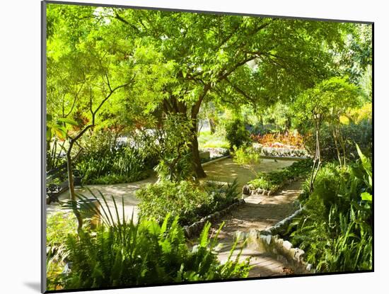 Alameda Gardens, Gibraltar, Europe-Giles Bracher-Mounted Photographic Print