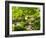 Alameda Gardens, Gibraltar, Europe-Giles Bracher-Framed Photographic Print