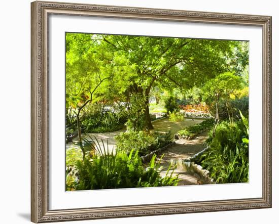 Alameda Gardens, Gibraltar, Europe-Giles Bracher-Framed Photographic Print