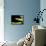 Alameda Whipsnake-Victor Habbick-Framed Premier Image Canvas displayed on a wall