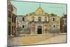 Alamo, San Antonio, Texas-null-Mounted Art Print