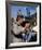 Alan Alda, M*A*S*H (1972)-null-Framed Photo