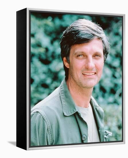 Alan Alda-null-Framed Stretched Canvas