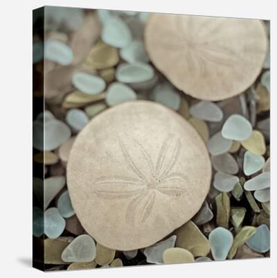  DIstressed Wood Sand Dollar, 10 Free Shipping, Beach Decor,  Wall Art : Handmade Products