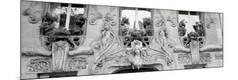 Premium Photographic Print