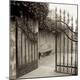 Premium Photographic Print