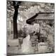 Photographic Print