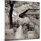 Photographic Print