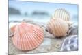 Premium Photographic Print