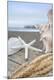 Premium Photographic Print