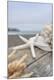 Premium Photographic Print