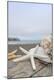Premium Photographic Print