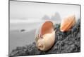 Premium Photographic Print
