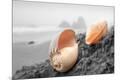Premium Photographic Print
