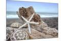 Premium Photographic Print