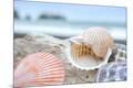 Premium Photographic Print